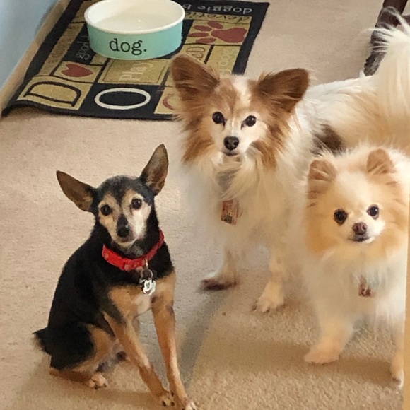 Thank you! Thank you! - Picture 13 of 13